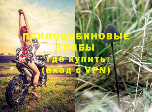 ПСИЛОЦИБИНОВЫЕ ГРИБЫ Баксан