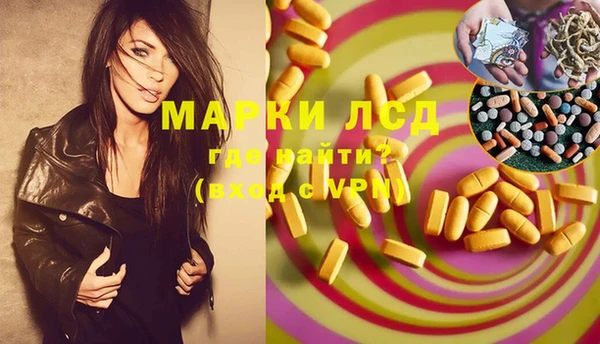 ПСИЛОЦИБИНОВЫЕ ГРИБЫ Баксан