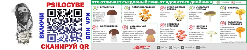 Купить где  Куровское  Псилоцибиновые грибы мухоморы 